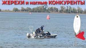 🔥Кучу ЖЕРЕХОВ на "Каст-Мастер"⚡️ и наглые рыбаки на катере! Рыбалка на Волге в Октябре - 2025 !!!