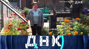 «ДНК»: «Тайная дочь из Сибири?» | Выпуск от 30 октября 2025 года