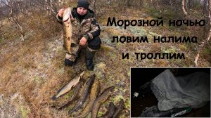 Удачный улов и незабываемые приключения на водоёме!