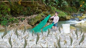 Ловлю креветок сетью. Иду на рынок продавать. Занимаюсь огородничеством. Жизнь во Вьетнаме