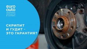 Колодки скрипят. Меняем по гарантии?