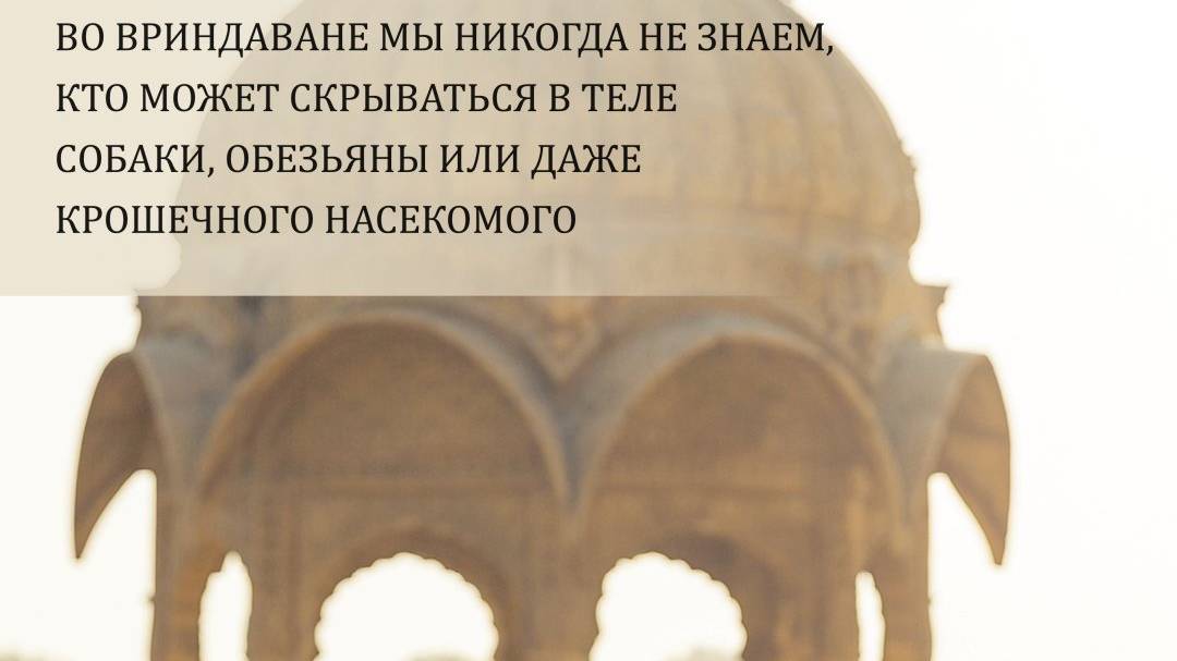 Вдохновение на Картику 2025 (день 25) от Е.С.Шачинандана Свами