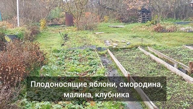 Дача 30 кв.м СНТ № 2 ЧМХС смотреть онлайн