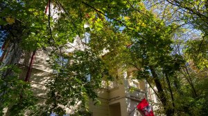 Пансионат для людей пожилого возраста "Академия Долголетия" в Бирюлёво