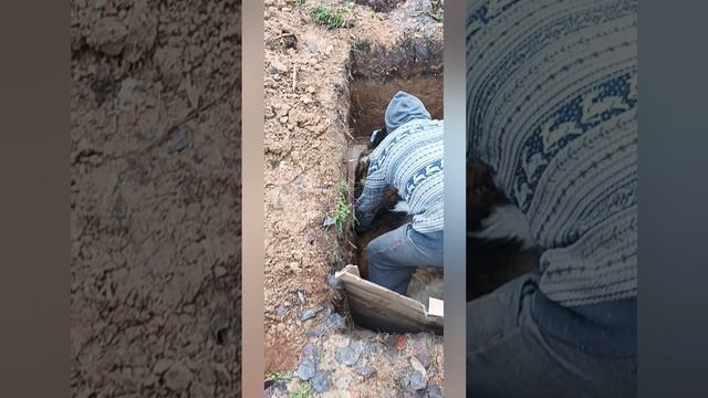 У нас печаль и слезы сегодня/ Графа больше нет.😔😭 смотреть онлайн