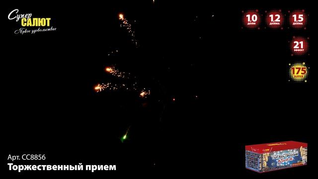 СС8856 Торжественный прием ФЕЙЕРВЕРК КАЛИБР 1,0-1,2-1,5 ЗАЛПОВ 175 смотреть онлайн