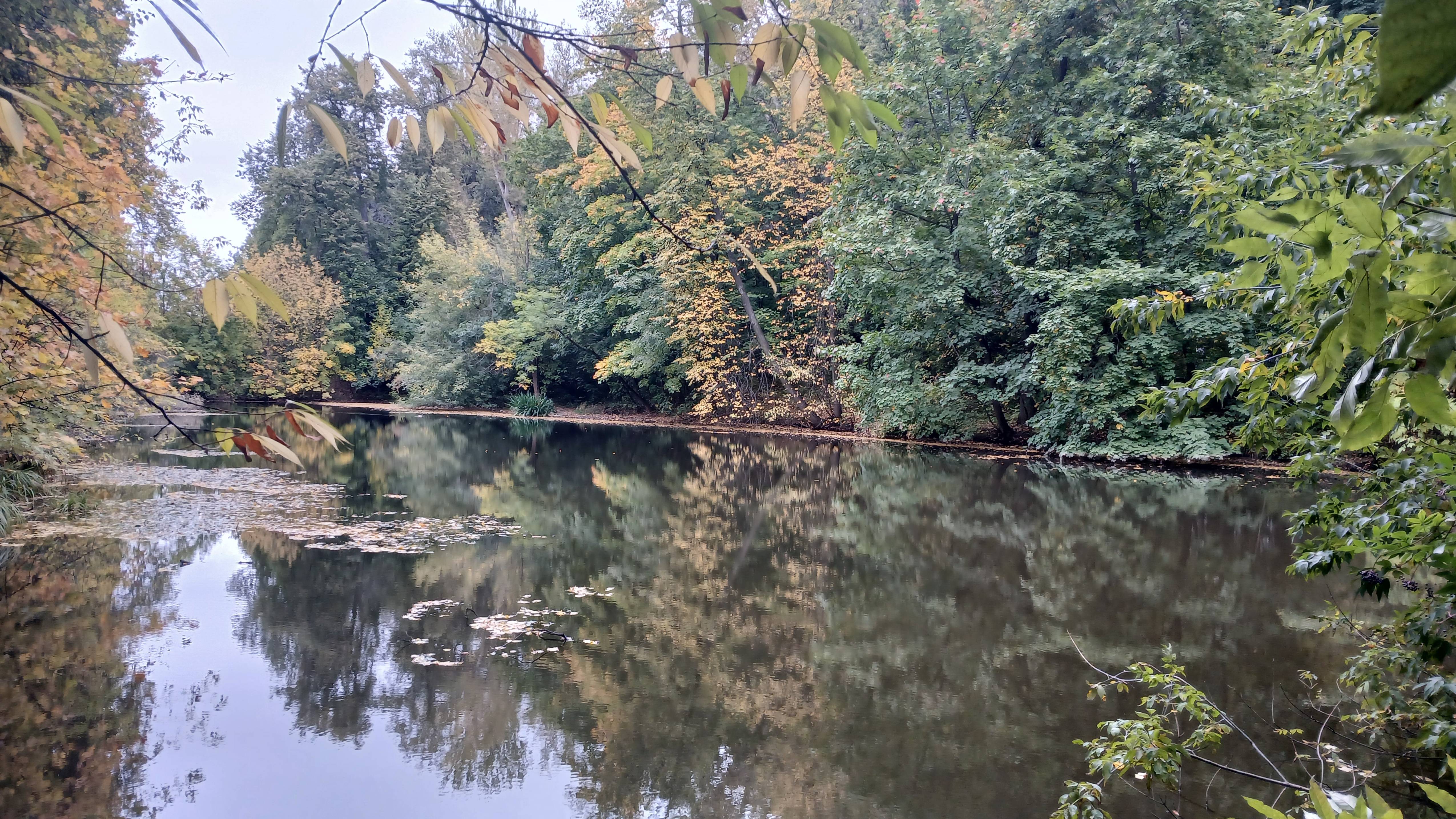 ВОРОБЬЕВЫ ГОРЫ. ПРУД. ОСЕНЬ смотреть онлайн