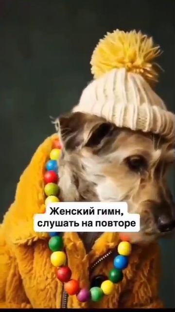 Женский Гимн смотреть онлайн