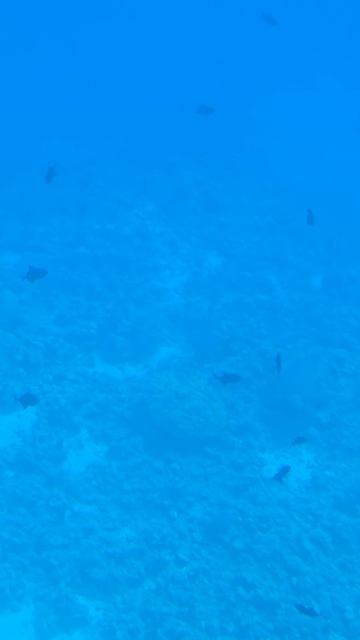 Египет, Хургада 2025, КРАСНОЕ МОРЕ