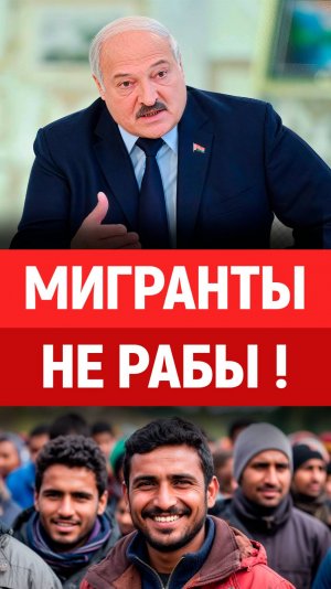Метод, Лукашенко: Что делать с мигрантами? Общество, культура, Беларусь, новости мигрантов.