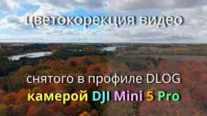 DJI Mini 5 Pro - быстрая цветокоррекция видео, снятого камерой DJI Mini 5 Pro в профиле DLOG