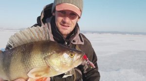 Первый лед на Каме, ищем крупного окуня на балансиры.  [Пора ловить].