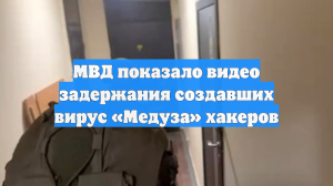 МВД показало видео задержания создавших вирус «Медуза» хакеров