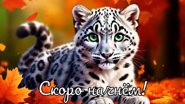 О стрим!  Left4dead2