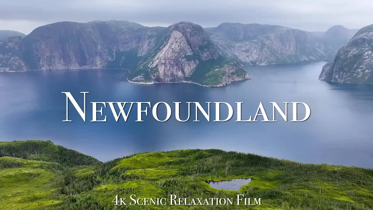 Newfoundland 4K - Scenic Relaxation Film With Calming Music смотреть онлайн