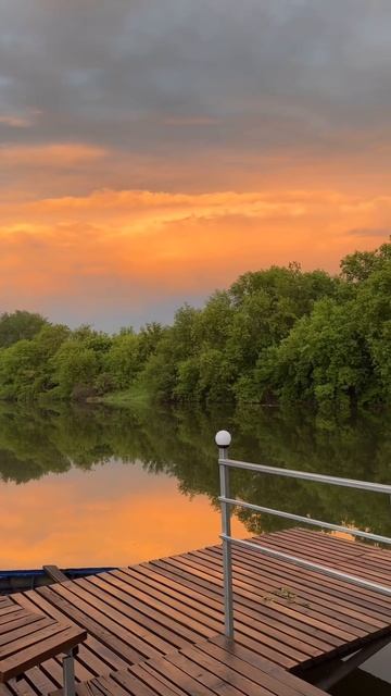 Звуки живой природы для сна