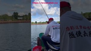 Ловим тилапию вместе с лучшими мастерами Китая