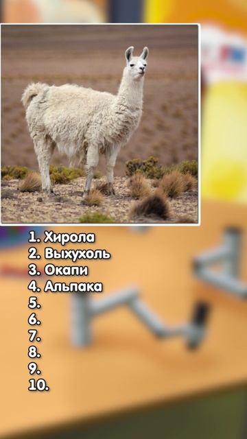 Рубрика "Угадай животное" #детскоерадио #игра #угадай смотреть онлайн