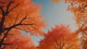 Одессу не отдам я никому! Песня за Одессу. Odessa song