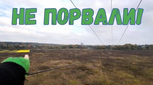 Не успели порвать.