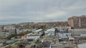 УМНАЯ ПТИЦА..ХОРОШО УСТРОИЛАСЬ 🤣🥰