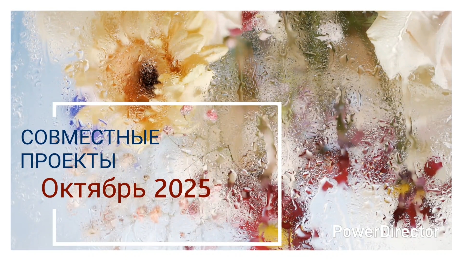 Вышивальный влог / ФИНАЛ Дубовая роща Лука-S / ОКТЯБРЬ 2025 смотреть онлайн