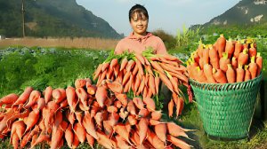 Собираю урожай моркови и везу на продажу на сельский рынок. Сельская ферма. Жизнь во Вьетнаме