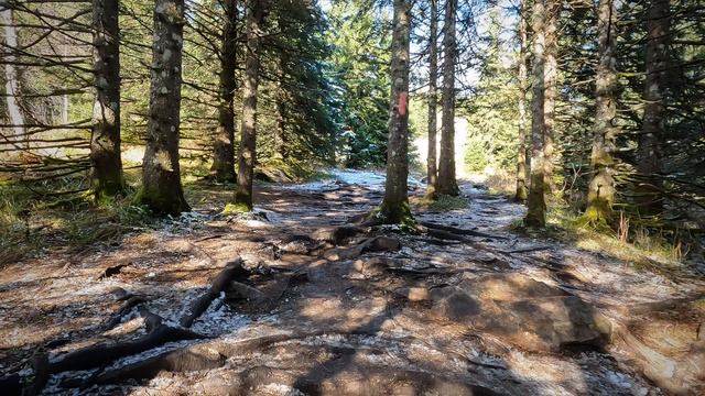 Зюраткуль октябрь 2025 смотреть онлайн