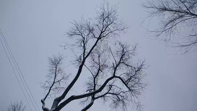 Точно никто не слышал эту песню. Дело было зимой.Здесь жила когда-то. Многим понравится. смотреть онлайн