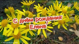 С днём рождения, Елена! Красивое музыкальное поздравление для Елены