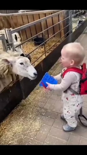 😂Нарезочка!