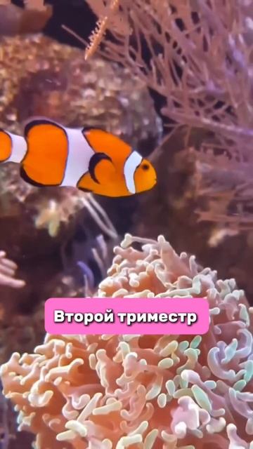 Copy_39B3DD02-E454-4F14-98BF-9E132E3EDC20