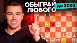 Шотландский Гамбит Гарантирует Тебе Победу Против Любителей!