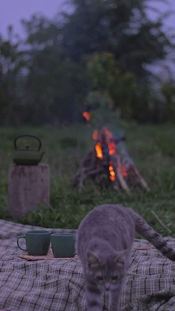 Дача, тишина, природа