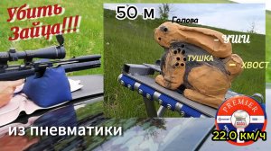 "Охота" из пневматики на "зайца"!
