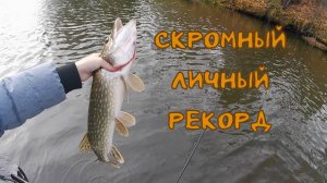 Рыбалка с лодки.Скромный личный рекорд.