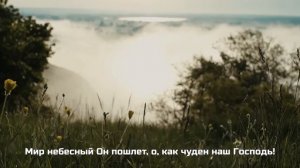 Рано утром или ночью. Милита, Аделина Бальжик