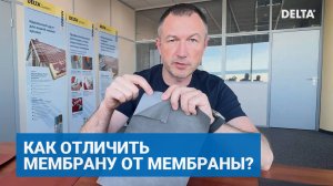 Как отличить мембрану от мембраны?