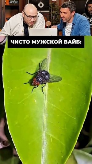 КРИНЖ-СТОРИ ССЫЛКА В КОММЕНТАРИЯХ https://t.me/+lGO6lnIu8kRkZTEy