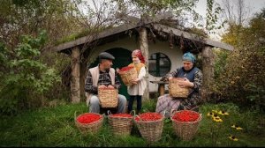 Заготовка И Варка Варенья Из Дикого Боярышника 🍒🌿
