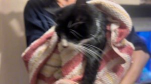 •Семейный влог •Неожиданный сюрприз для всех •Пополнение в семье •Готовлю ужин #tatianakis