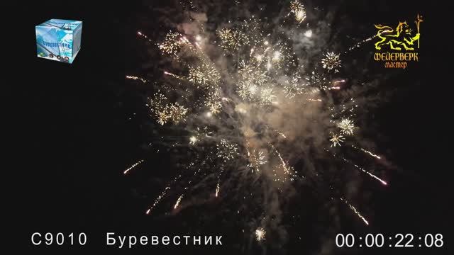 С9010 Буревестник смотреть онлайн