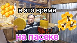 На пасеке дела не заканчиваются, даже если пчёлы не летают! Пчеловодство! Зимовка пчёл!