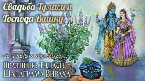 Туласи Шалаграма Виваха: со 2 по 5 ноября 2025. Праздник свадьбы Туласи и Господа Вишну.