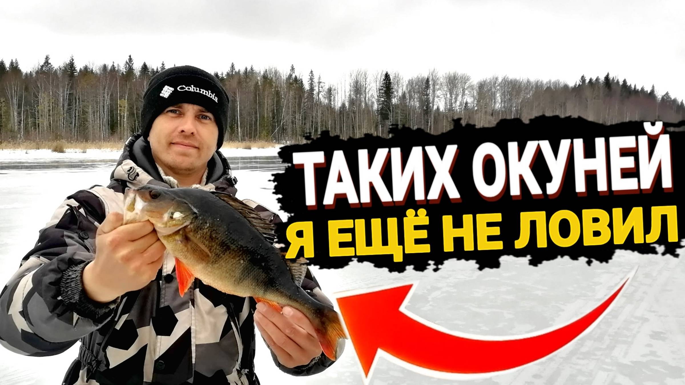 Зимняя рыбалка. Трофейный окунь на блесну пойман. смотреть онлайн