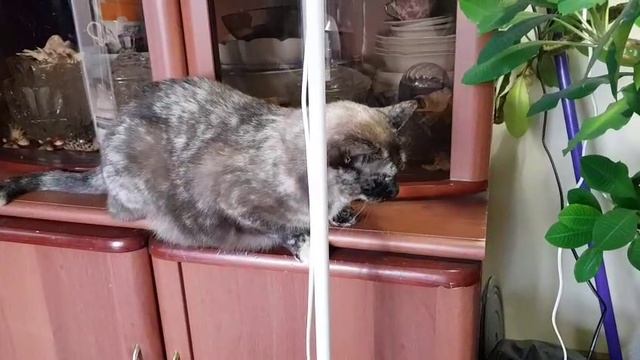 Леся и Сёма - Фитюлька поверила в себя смотреть онлайн