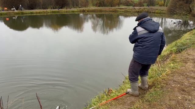 Онлайн с водоема смотреть онлайн