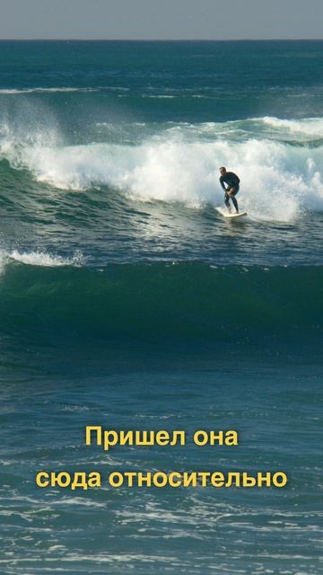 Серфинг среди верблюдов и коз! смотреть онлайн