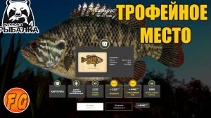 Трофейное место на Лосином озере. Russian Fishing 4. рр4