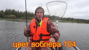 Осенняя рыбалка с друзьями на Озере Вселуг . Проверенный воблер выручает.